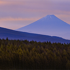 野宮昭治-写真家|SHOJI NOMIYA-PHOTOGRAPHER|富士山|Mount Fuji